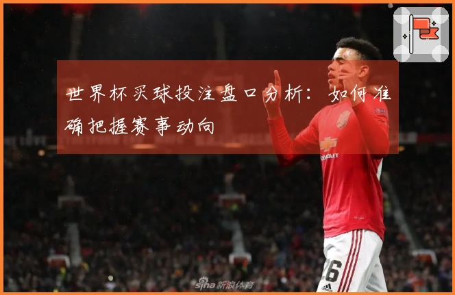世界杯买球投注盘口分析：如何准确把握赛事动向