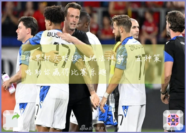 世界杯买球投注玩法详解，五种策略助你赢得比赛乐趣