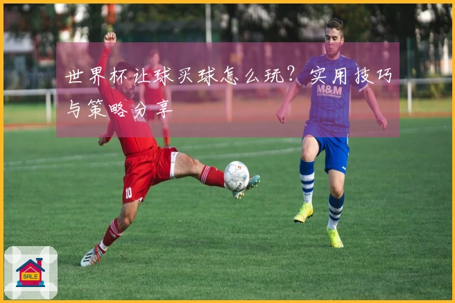 世界杯让球买球怎么玩？实用技巧与策略分享