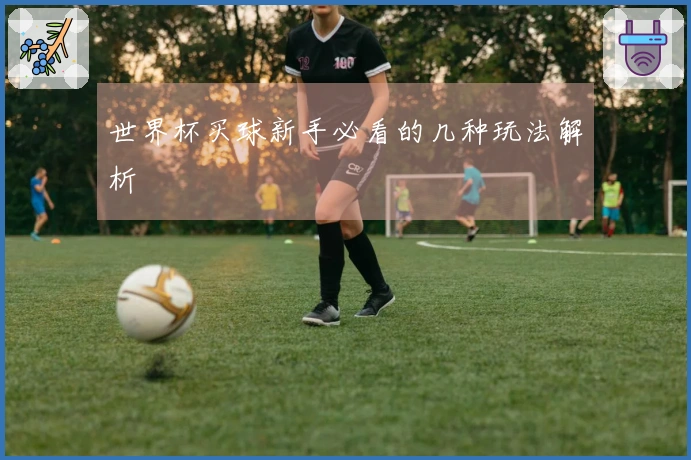 世界杯买球新手必看的几种玩法解析
