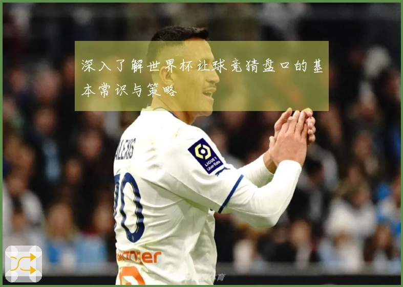 深入了解世界杯让球竞猜盘口的基本常识与策略