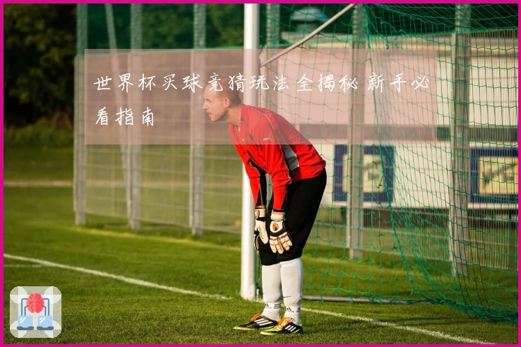 世界杯买球竞猜玩法全揭秘 新手必看指南
