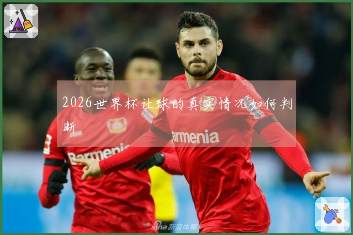 2026世界杯让球的真实情况如何判断