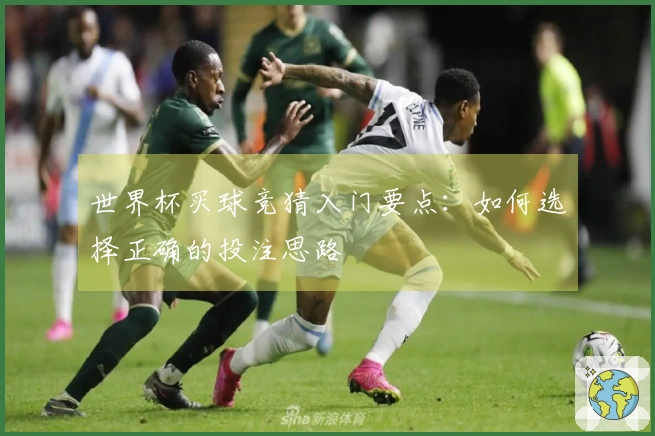 世界杯买球竞猜入门要点：如何选择正确的投注思路